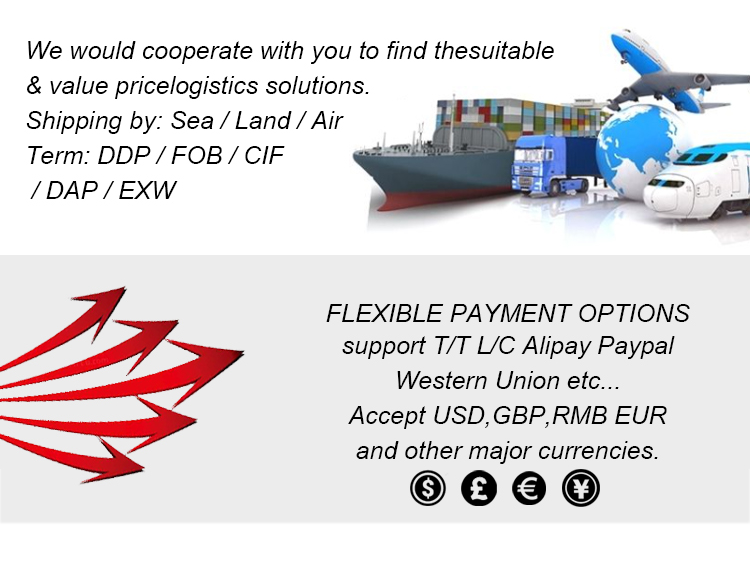 Payment and Shipping Information