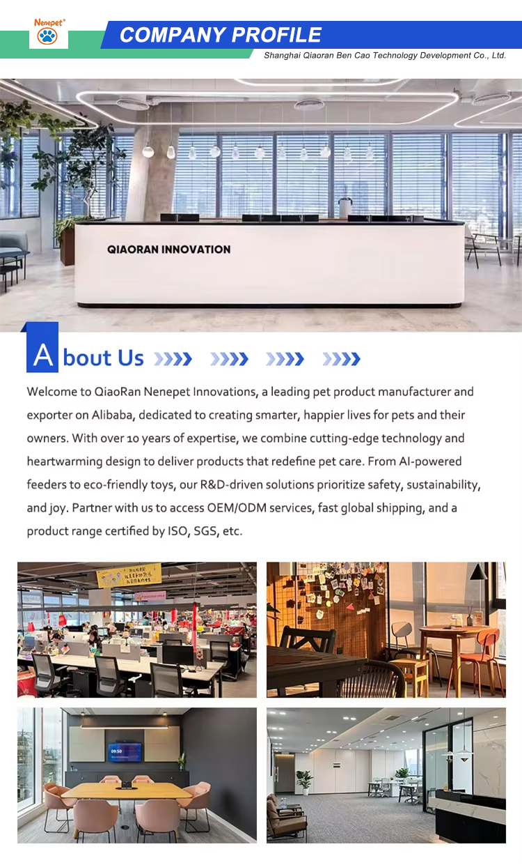 Company Showcase 1