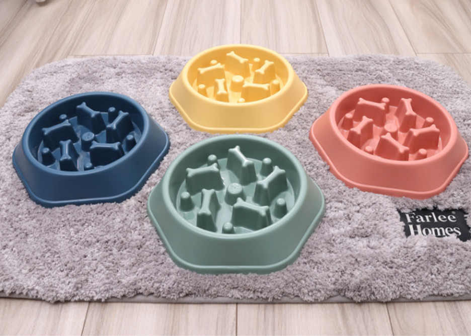 Dog Bowl Detail 9