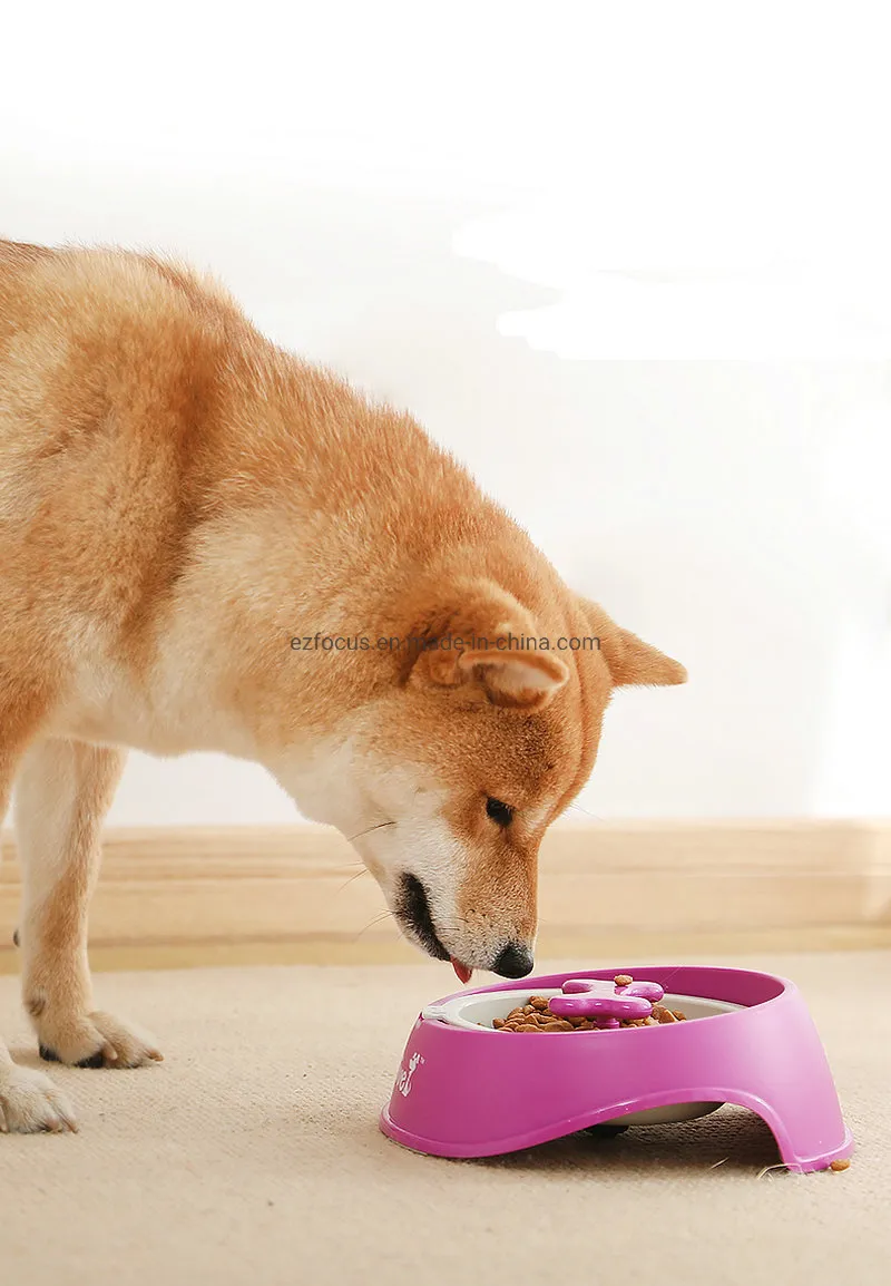 Pet Slow Feeder Wbb12699 - 5