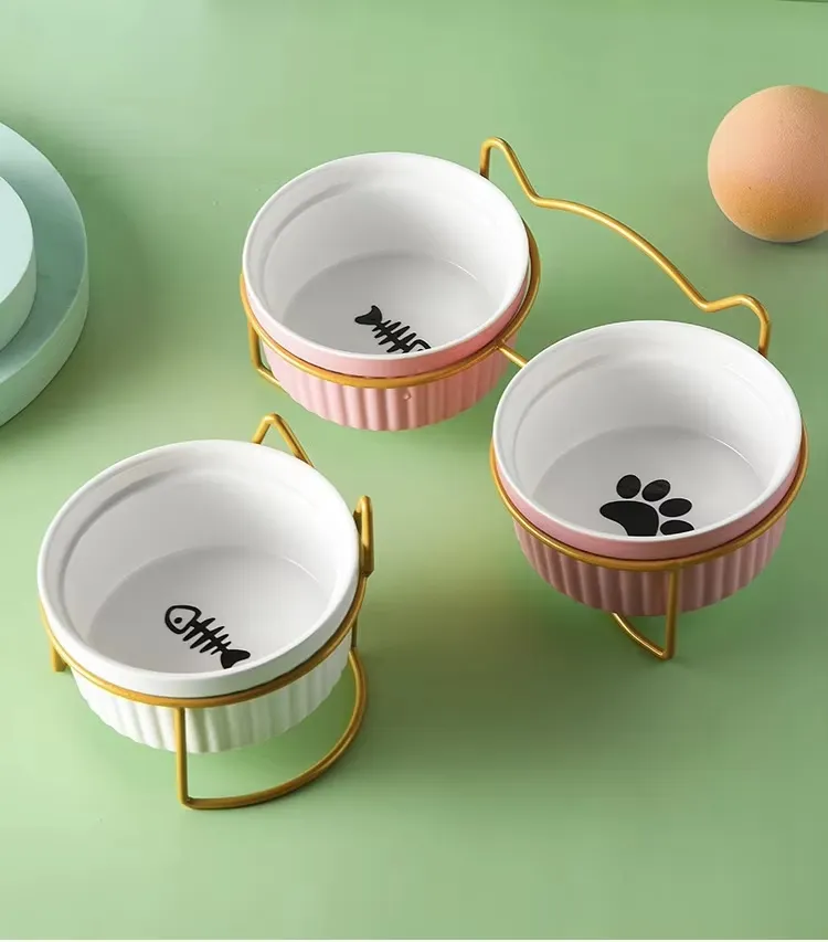 Ceramic Pet Feeding Bowl for Cats Dogs with Stand Tilted