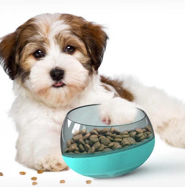 Amazon Pet Supplies Manufacturer Food Bowl Slow-Eating Dog Tableware Untoppable Slow-Eating Dog Bowl