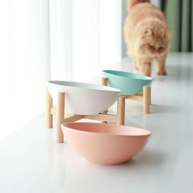 Elevated Tilted Ceramic Cat Bowl with Wooden Stand for Cats