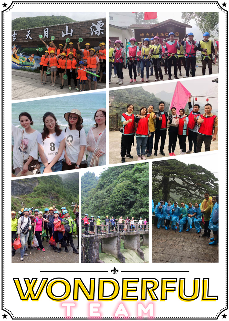 Our Team