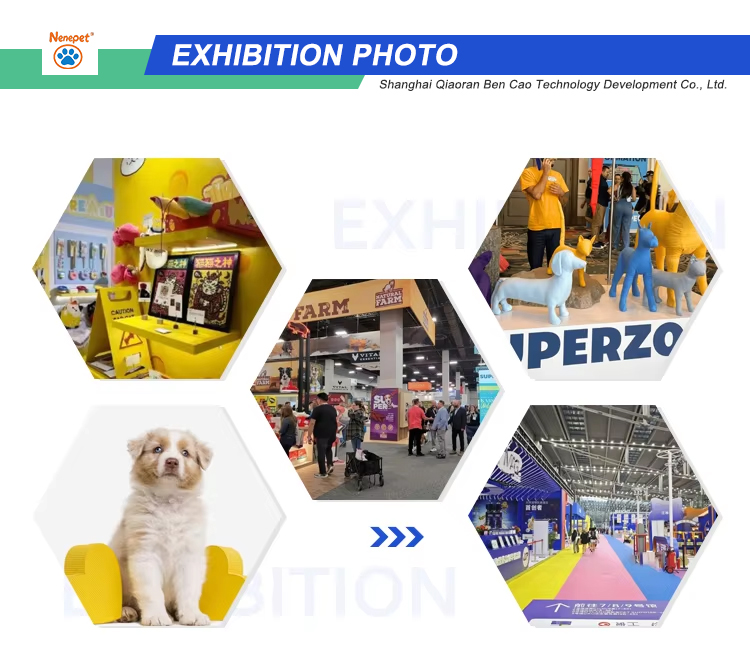 Exhibition Stand