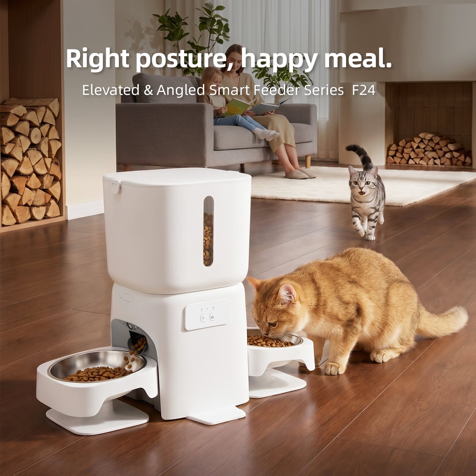 New Series Smart Automatic Pet Feeder 6L WiFi APP Control Smart Detection Dual Bowls Dual Meals Waterproof Charge for Cats Dogs