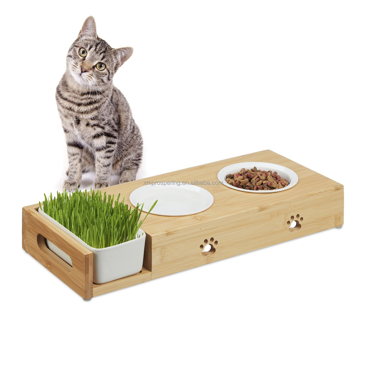 Wholesale Stainless Steel Dog & Cat Elevated Slow Feeder Bowls with Bamboo Stand 2-in-1 Pet Food Holder