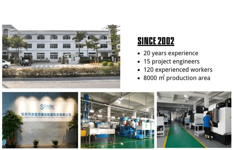 Company Profile Details