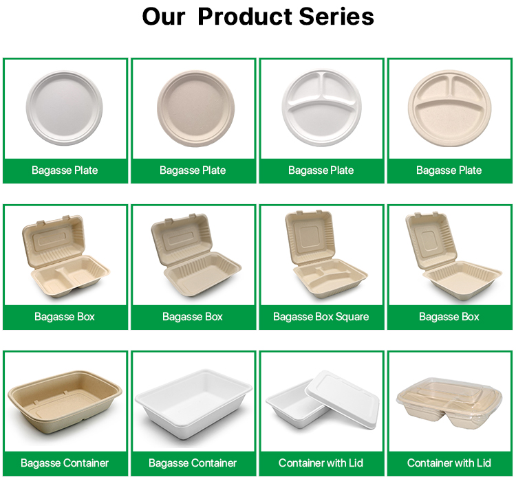 Recommended Bagasse Plate and Containers