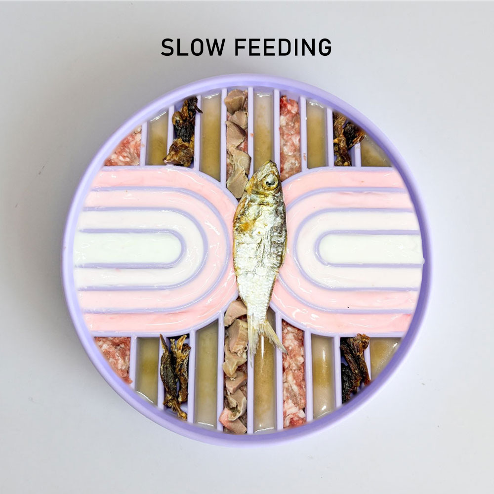 Double Rainbow Silicone Slow Feeder for Dogs Dishwasher Safe Large Pet Licking Pad Dog Slow Food Serving Bowl