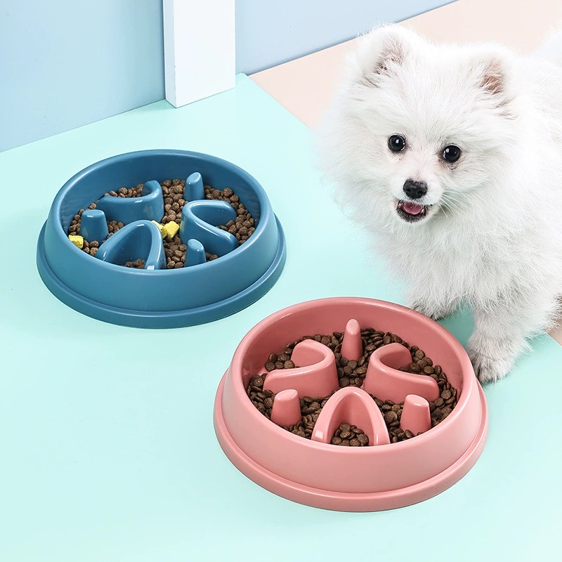 Colorful Slow Eating Pet Bowl, Durable Plastic Interactive Maze Feeder to Slow Down Fast Eaters for Dogs &amp; Cats