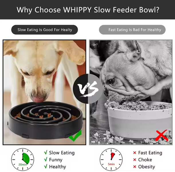 WHIPPY Luxurious Slow Feeder Bowl Rounded Small Medium Dogs Eco-Friendly Stainless Steel Puzzle Fun Maze Anti-Slip No-Choking