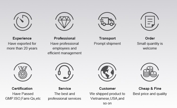 Why Choose Us