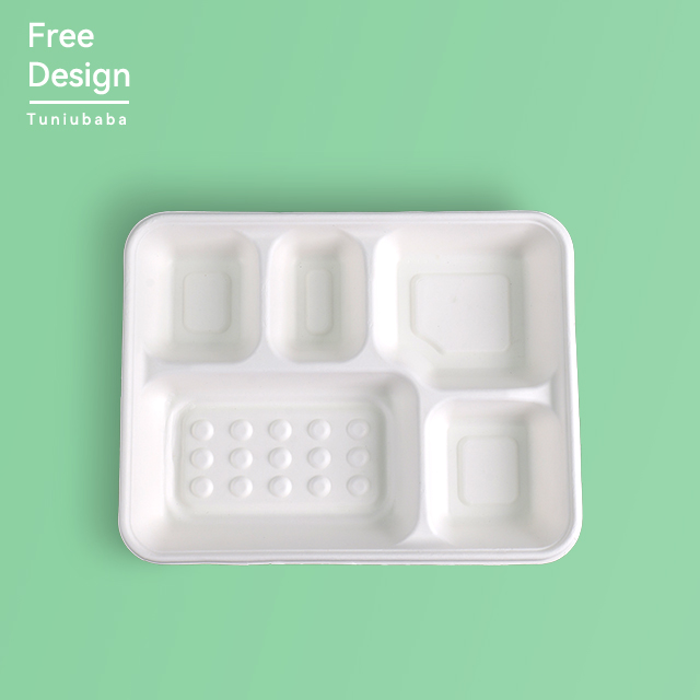Multi-Compartment Food Tray Biodegradable Plate 6 Compartment Disposable Plate