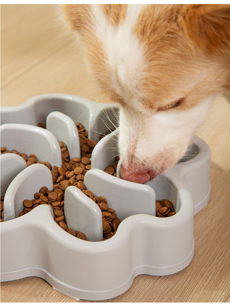 Pet supplies showcase 9