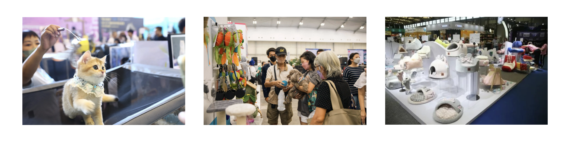 Pet expo and international trade fairs show