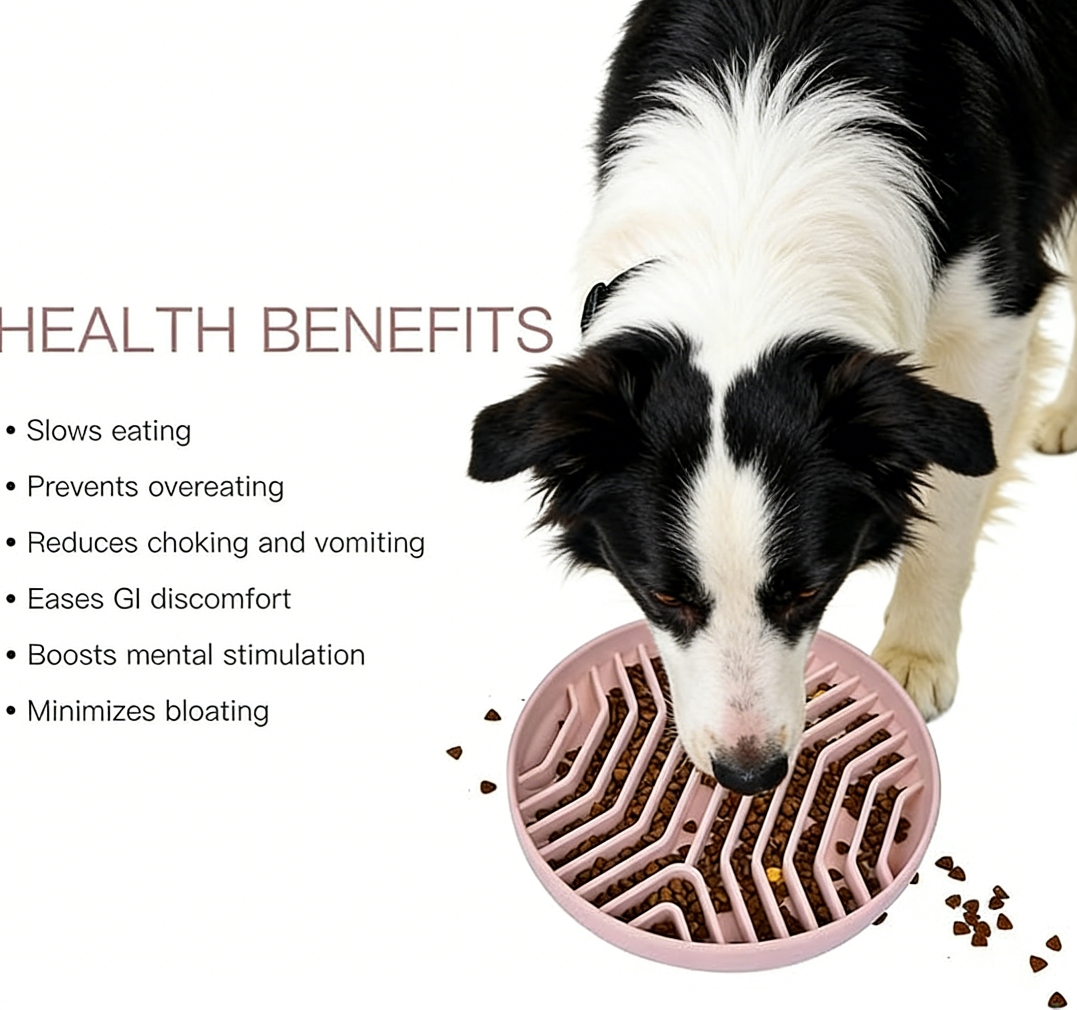 Silicone Slow Feeder Dog Bowl - Wholesale Pet Food Plate for Cat, Small Animal, Anti-choke Maze Design