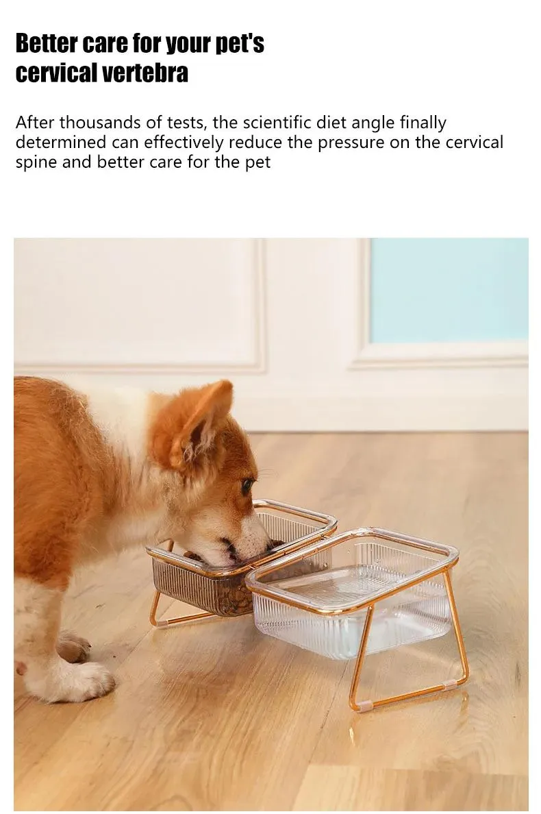 Removable 15 Tilted Elevated Pet Cat Dog Food and Water Bowls Set with Iron Stand
