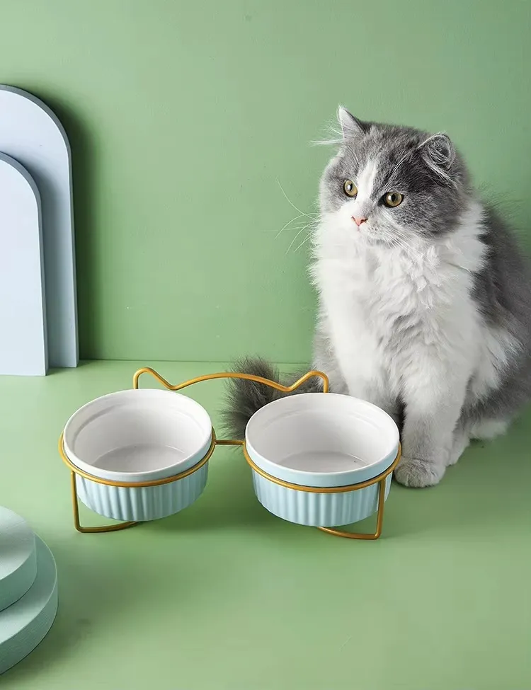 Ceramic Pet Feeding Bowl for Cats Dogs with Stand Tilted