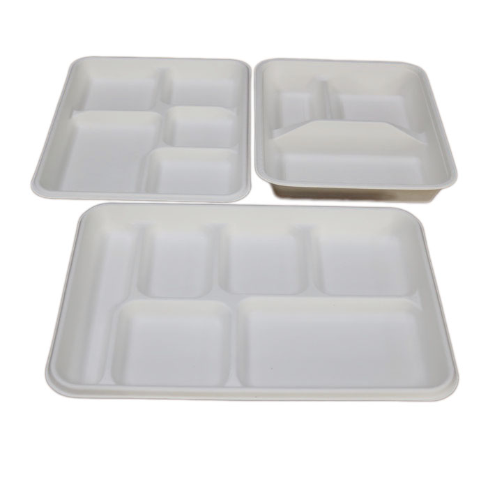 Disposable Plastic Biodegradable Compostable BPI Certified Customizable Size Shape Multi-Compartment Rectangular Camping Plates