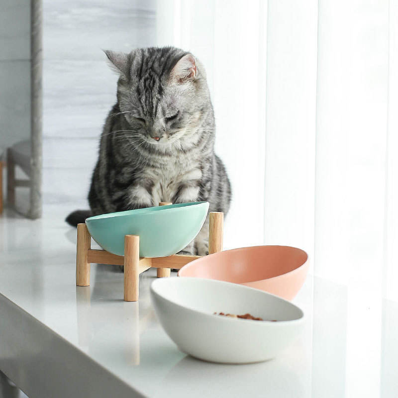 Elevated Tilted Ceramic Cat Bowl with Wooden Stand for Cats