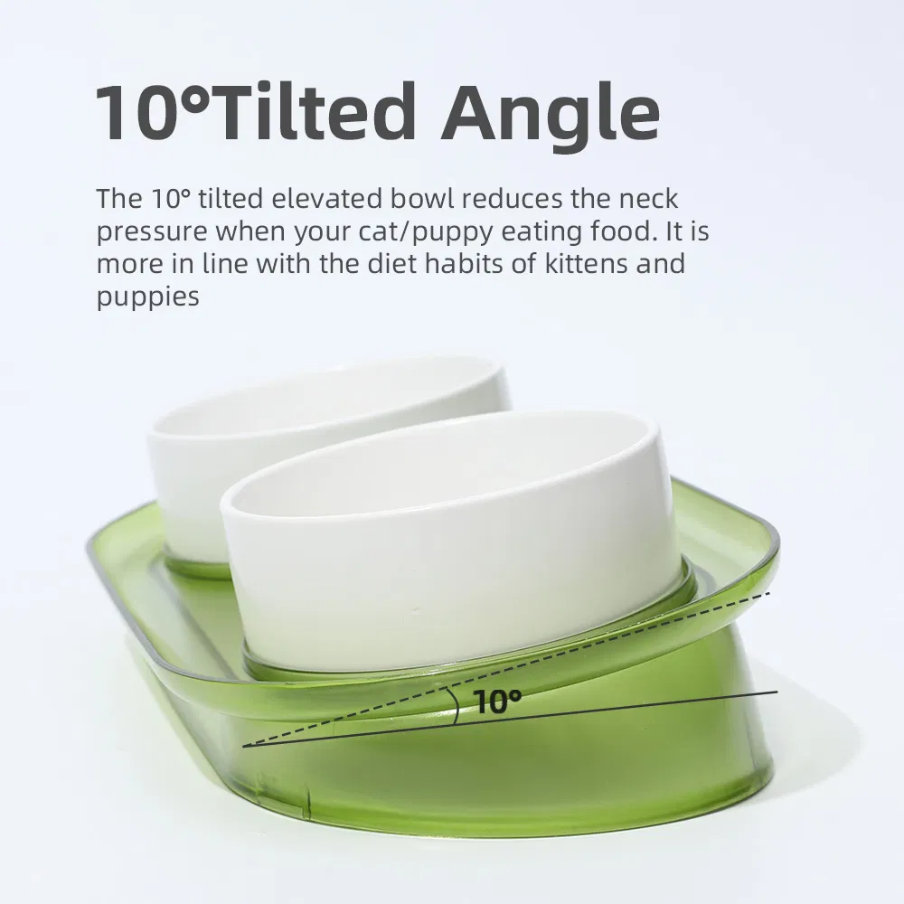 10 Degree Tilted Angle Pet Bowl Anti Overflow Dog Cat Bowl for Small Cats Dogs