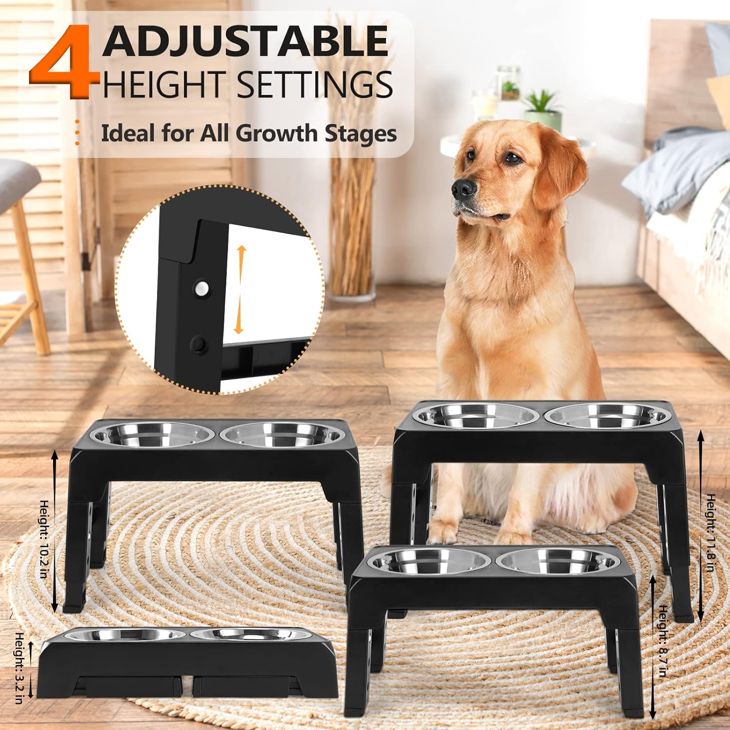 Pet Food Bowl View 3