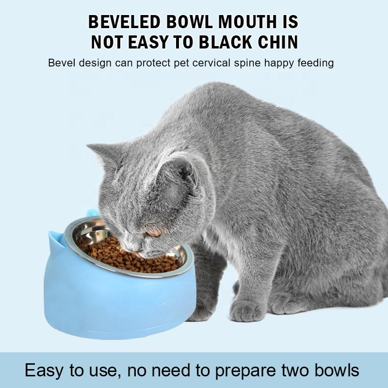 Stainless Steel 30 Degree Tilted Drinking Pet Food Bowl
