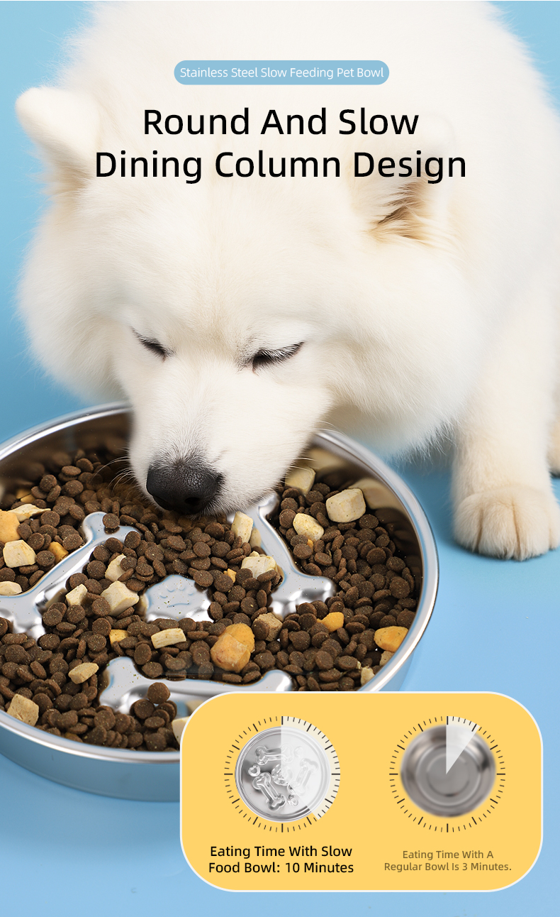 Pet Slow Feeder Bowl Detail 4