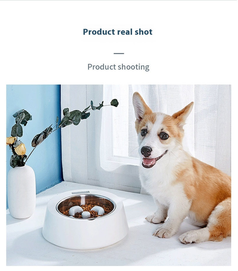 Intelligent Pet Feeder Dog Bowl Anti-Choking Slow Food Bowl Anti-Overturning Cat Food Basin Charge Cross-Border Hair Resistant