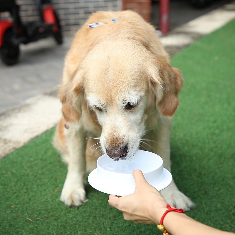 Custom Eco Friendly Double Adjustable Elevated Non Slip Covered Silicone Travel Dog Cat Pet Slow Food Feeders Bowls With Stand
