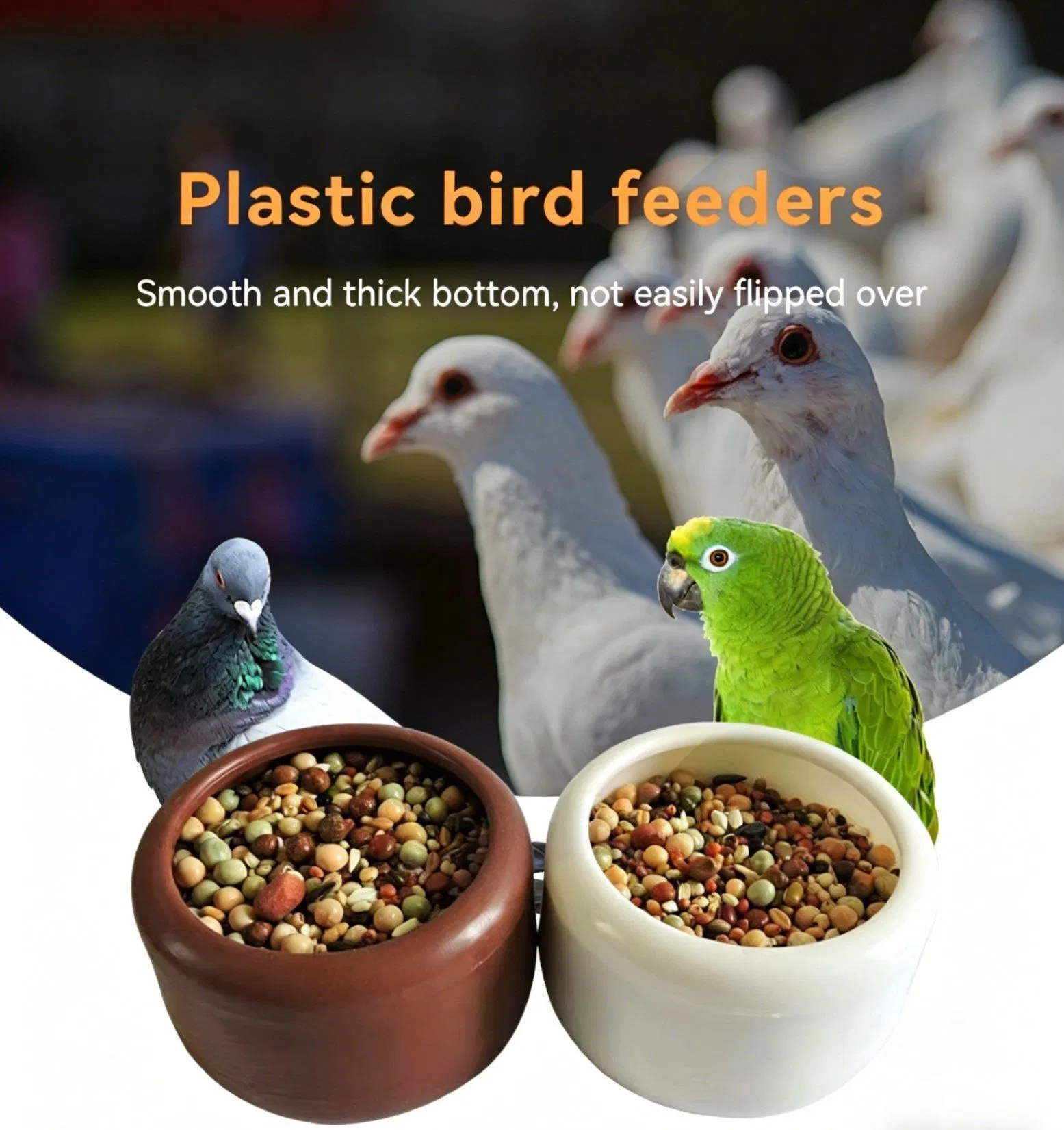 Heavy Duty Non-Tip Plastic Bird Feeding Dish for Canaries and Birds