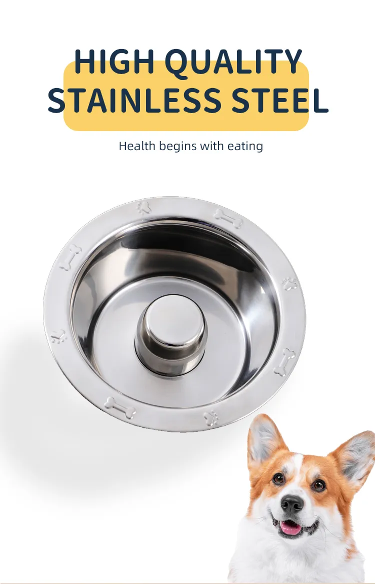 Pet Feeder Details