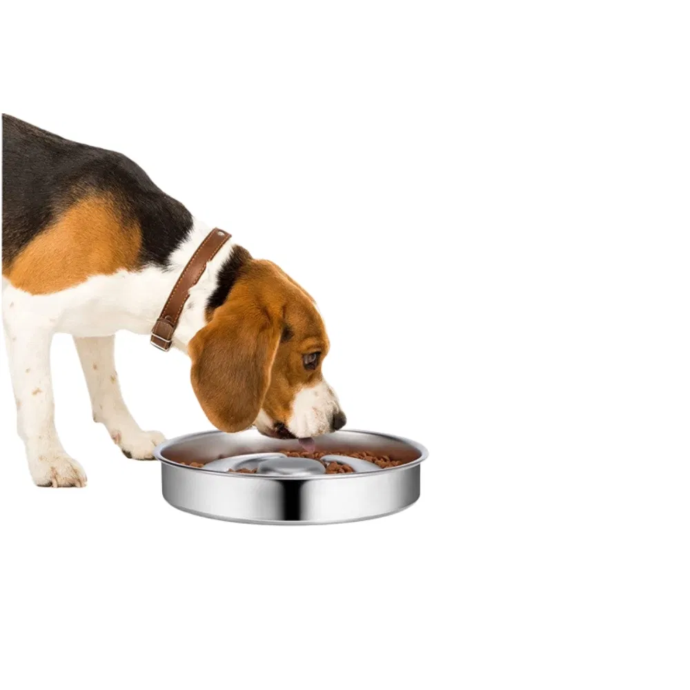 Stainless Steel Puzzle Dog Bowls to Slow Down Eating Ez31500