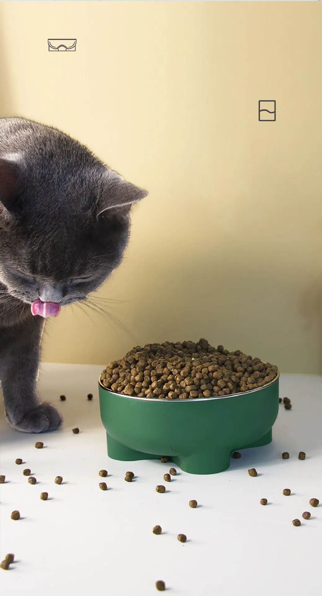 Stainless Steel Tilted Raised Cat Food Bowl Four-Leaf Clover Design Feeder Pet Food Water Bowl for Small Dogs Puppy