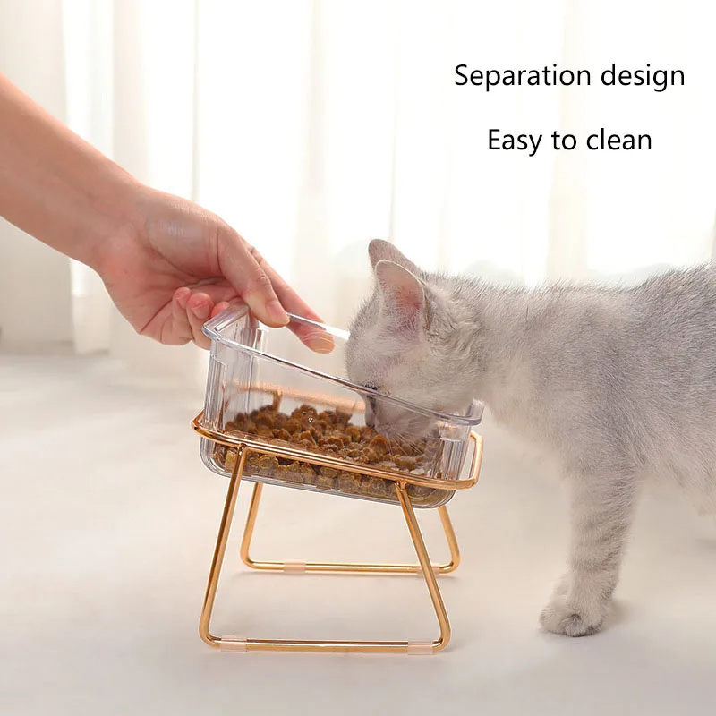 Removable 15 Tilted Elevated Pet Cat Dog Food and Water Bowls Set with Iron Stand