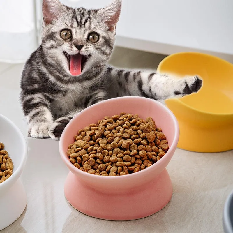Food Feeding Dishes Cat Bowl