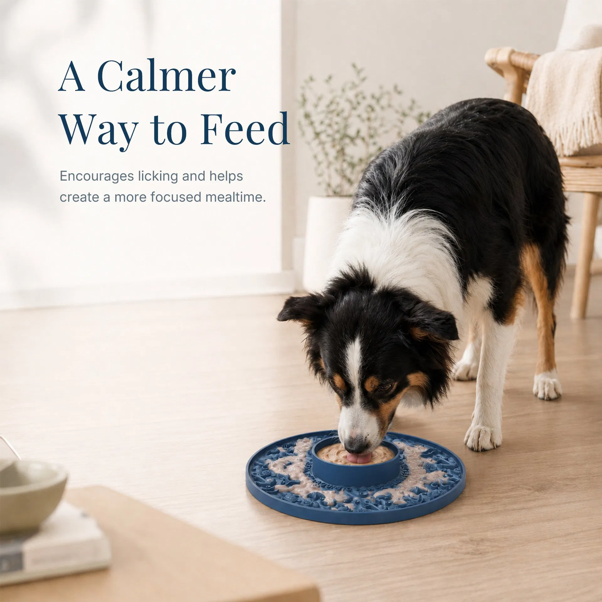 New Large Silicone Dog Licking Mat, Anti-Spill Pet Slow Feeder Bowl to Prevent Choking and Promote Slow Eating for Dogs