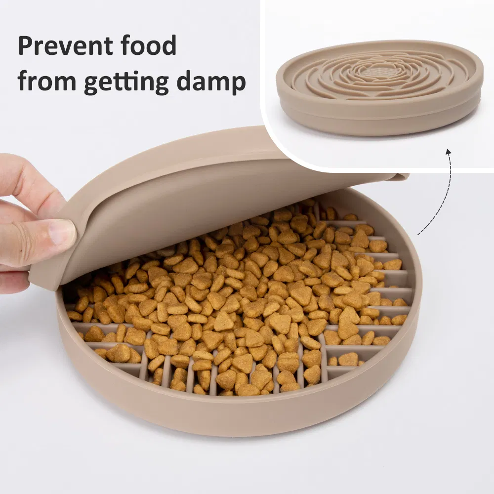 Silicone Pet Feeding Combo