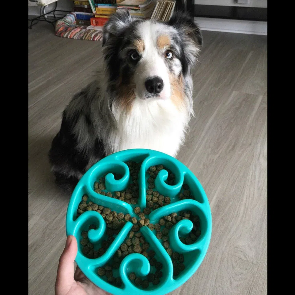 Plastic Non-Slip Dog Feeder Slow Eating Pet Bowl Eco-Friendly Durable Non-Toxic Preventing Choking Healthy Design Bowl for Dog Pet Slow Feeder