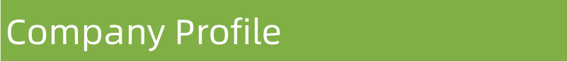Product Presentation Banner