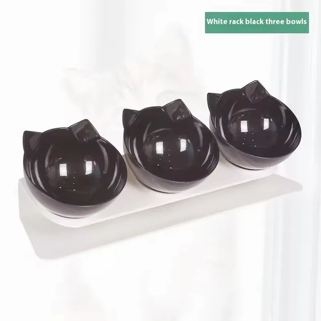 Multiple cat feeding setup