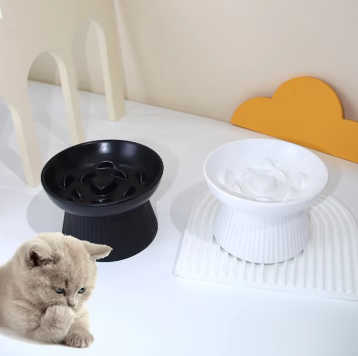 Whisker friendly cat bowl