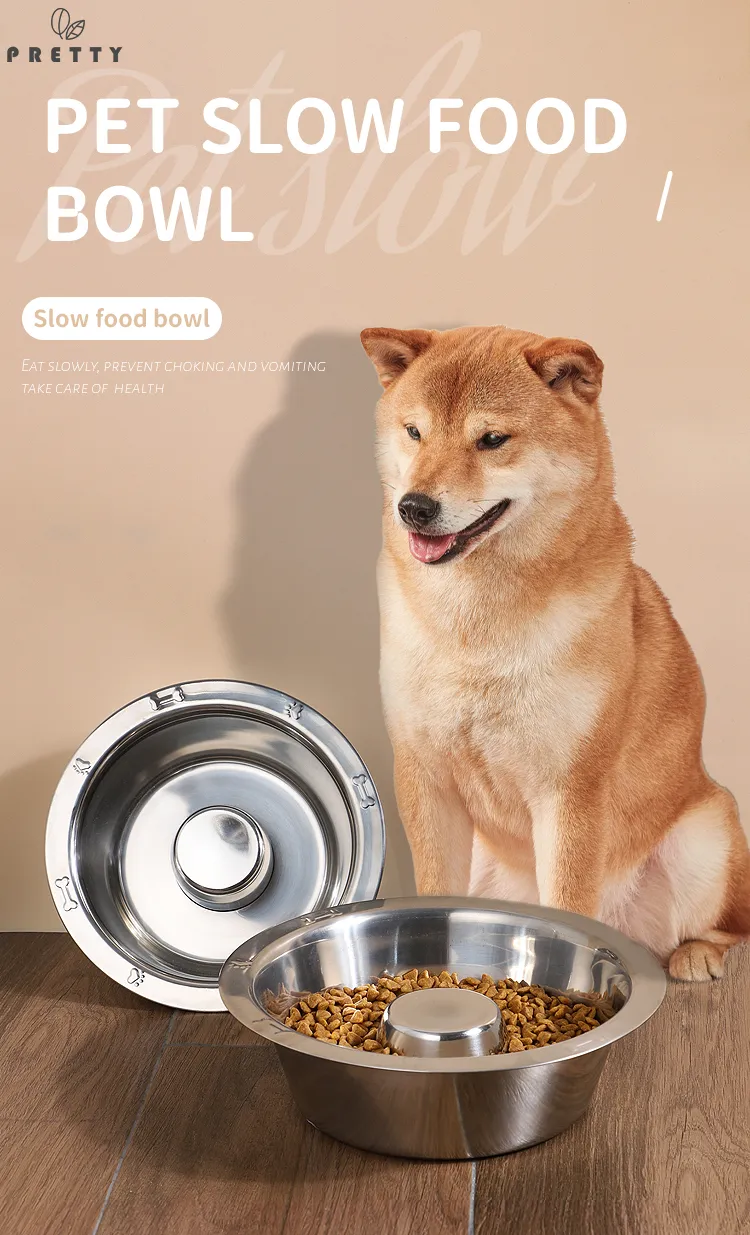 Pet Healthy Slow Eating Bowl