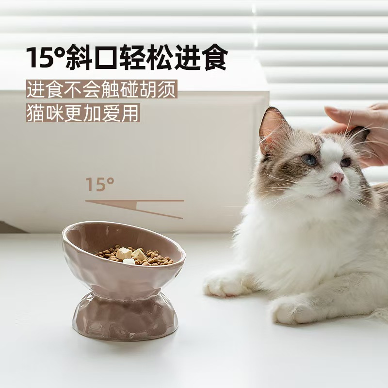 Ergonomic Cat Bowl with Tilted Design for Comfortable Feeding