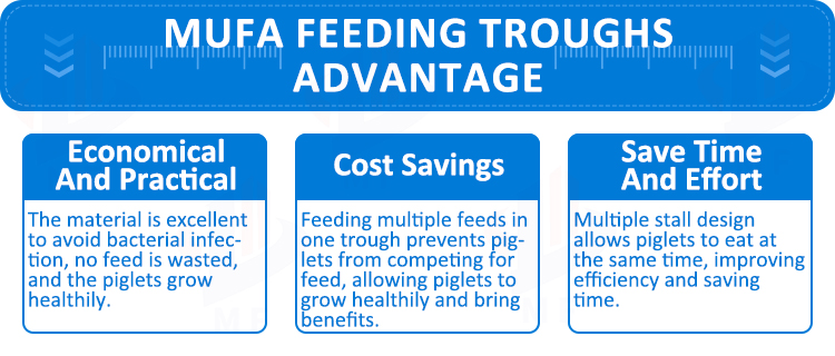 Our Advantages
