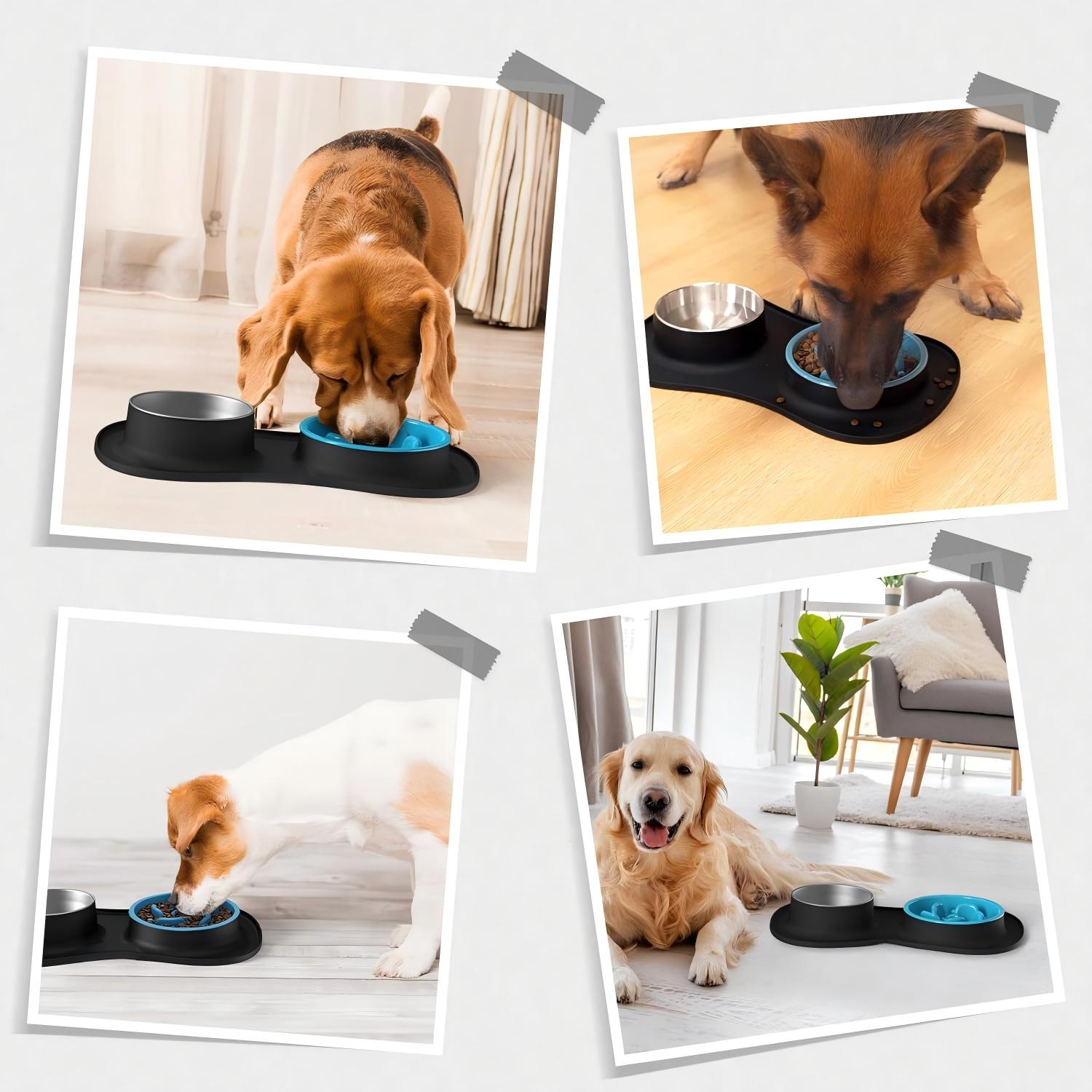 3 in 1 Slow Feeder Dog Bowls &amp; Stainless Steel Water Bowl with Non-Spill Silicone Mat for Small Medium Large Breed