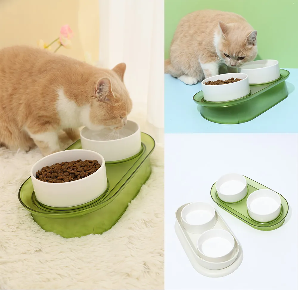 10 Degree Tilted Angle Pet Bowl Anti Overflow Dog Cat Bowl for Small Cats Dogs