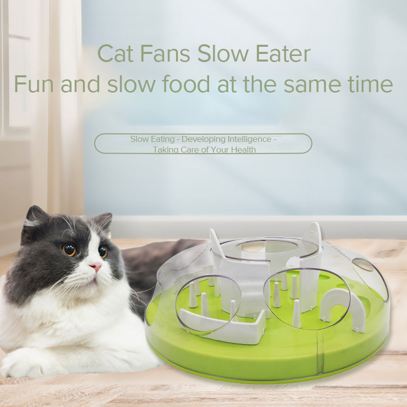 Pet Bowl Color Option 2