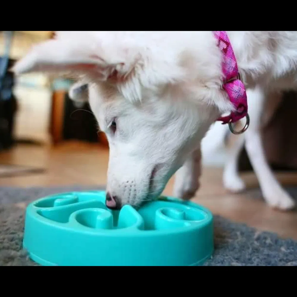 Plastic Non-Slip Dog Feeder Slow Eating Pet Bowl Eco-Friendly Durable Non-Toxic Preventing Choking Healthy Design Bowl for Dog Pet Slow Feeder